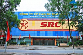 Hà Nội xây trung tâm thương mại trên khu “đất vàng” 231 Nguyễn Trãi